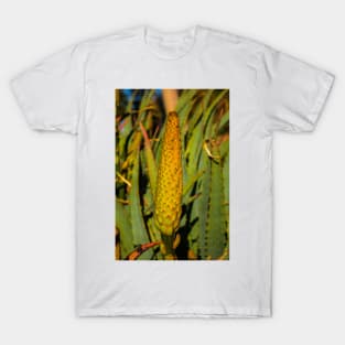 Cactus spike T-Shirt